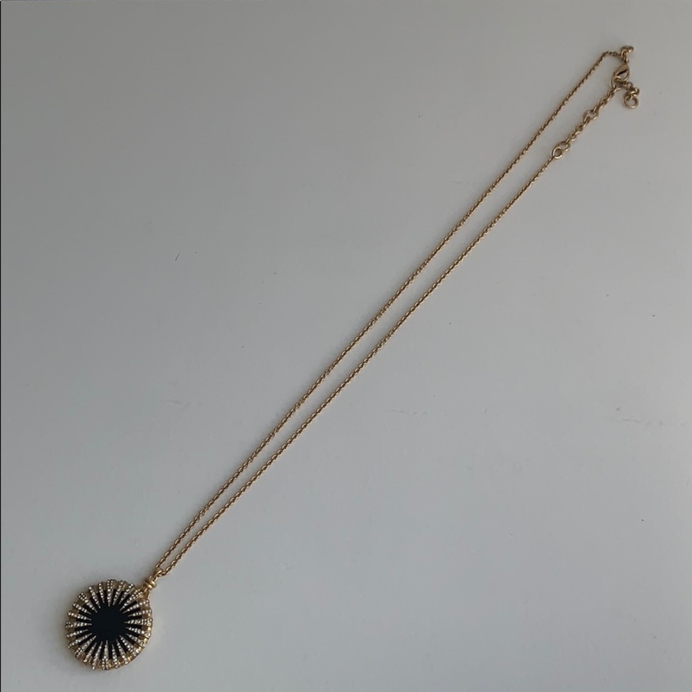 J. Crew Long Statement Pendant Necklace